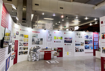 專業(yè)會展策劃服務(wù) 安徽斯百德一站式展會展覽解決方案與企業(yè)形象設(shè)計